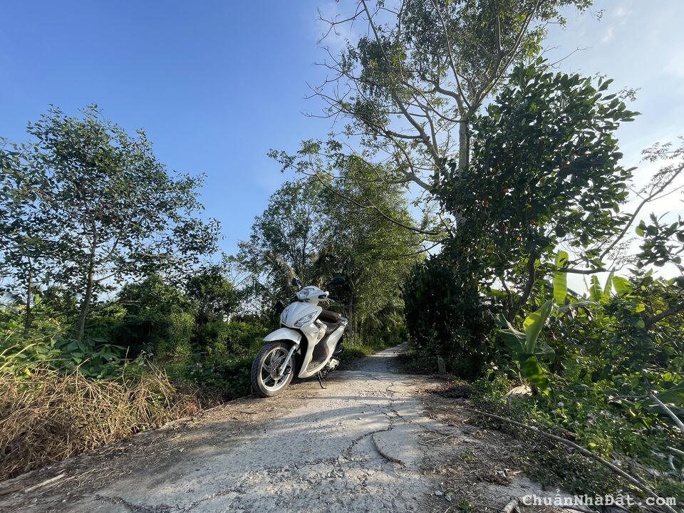 Nền 64m2 có 46m2 thổ cư - Ngay cạnh bên DT917, TT. Phong Điền, TP Cần Thơ