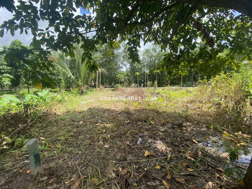 Nền 5,15*20 Thổ Cư, Rạch Chuối - Nguyễn Văn Cừ, Mỹ Khánh, Phong Điền.