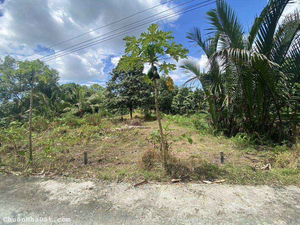 Nền 5,15*20 Thổ Cư, Rạch Chuối - Nguyễn Văn Cừ, Mỹ Khánh, Phong Điền.