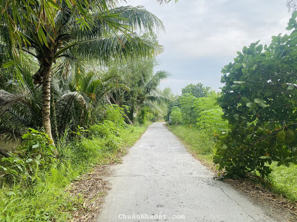 Nền Đẹp 5x40, Rạch Chuối - Nguyễn Văn, Mỹ Khánh, Phong Điền. Nền Đẹp 5x40, Rạch Chuối - Nguyễn Văn, Mỹ Khánh, Phong Điền.