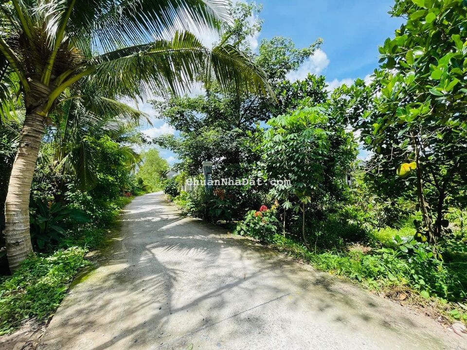 Nền Đẹp 5x40, Rạch Chuối - Nguyễn Văn, Mỹ Khánh, Phong Điền. Nền Đẹp 5x40, Rạch Chuối - Nguyễn Văn, Mỹ Khánh, Phong Điền.