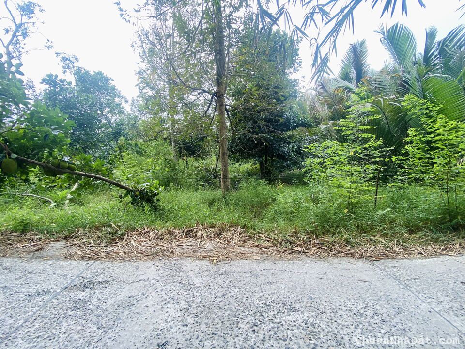 Nền Đẹp 5x40, Rạch Chuối - Nguyễn Văn, Mỹ Khánh, Phong Điền. Nền Đẹp 5x40, Rạch Chuối - Nguyễn Văn, Mỹ Khánh, Phong Điền.