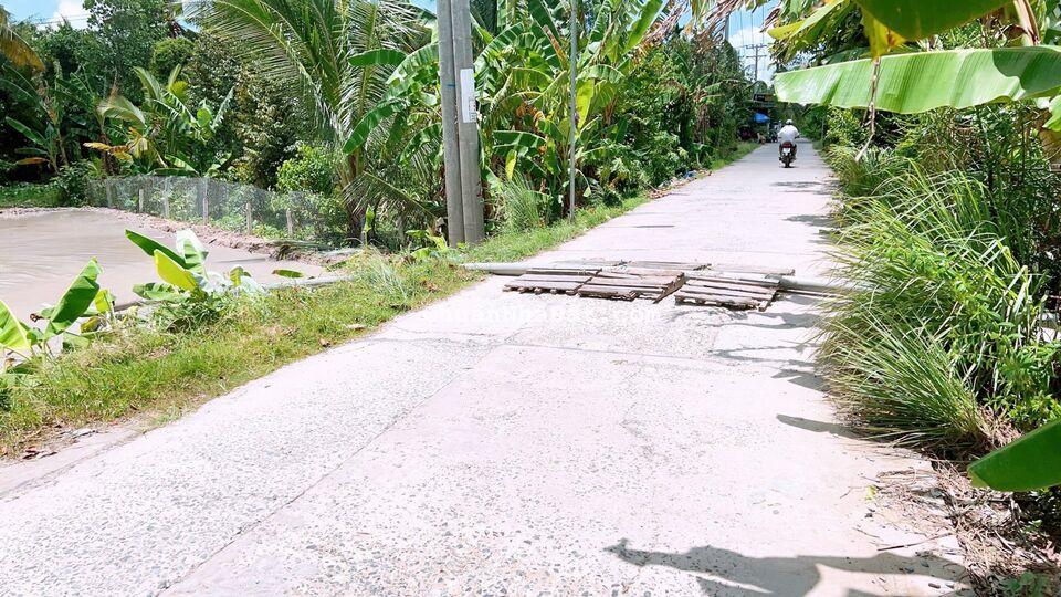  Nền Thổ Cư, Nhơn Ái, Ngang Chợ Phong Điền, Lộ Ôtô Tới Nền. 