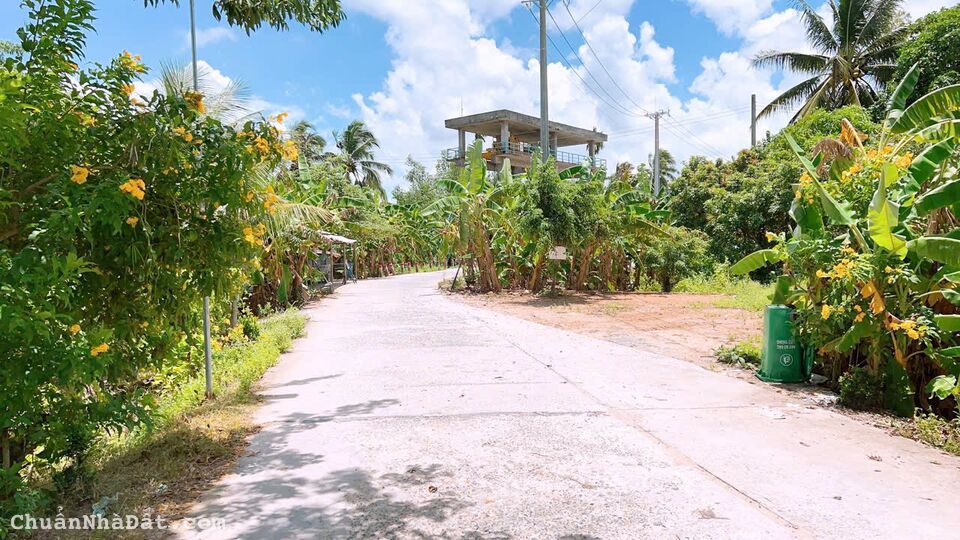  Nền Thổ Cư, Nhơn Ái, Ngang Chợ Phong Điền, Lộ Ôtô Tới Nền. 