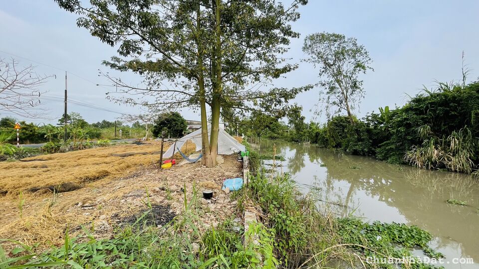 Nền Đẹp 114m2, Lộ Nhựa 11m, Tuyến Áng Khám Ông Hào, Trường Long, Phong Điền. Nền Đẹp 114m2, Lộ Nhựa 11m, Tuyến Áng Khám Ông Hào, Trường Long, Phong Điền.