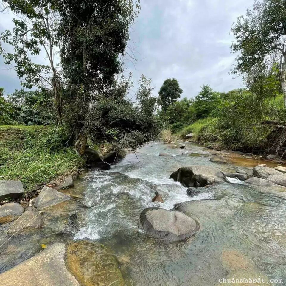 Cần bán gấp khu đất ngộp giáp suối lớn