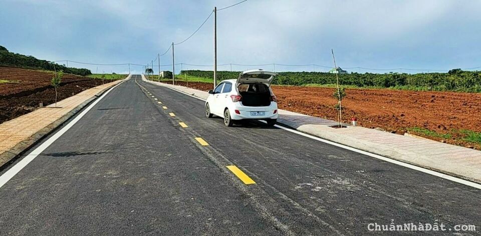 Cần bán gấp lô đất ngợp có view rừng thông rất phù hợp để nghỉ dưỡng