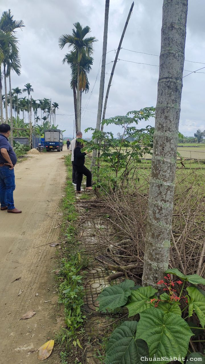 Bán lô đất vàng ĐIện Hồng, cách Đà Nẵng chỉ 10km giá siêu rẻ