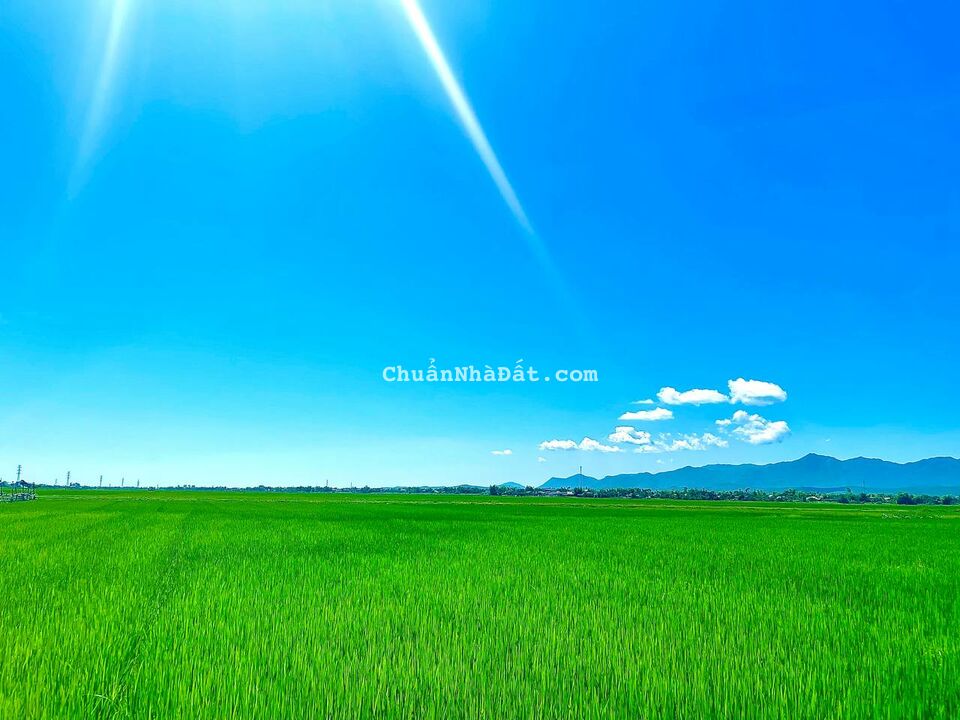 Chính chủ cần bán mảnh vườn hơn 500M2, vuông vắn Chính chủ cần bán mảnh vườn hơn 500M2, vuông vắn