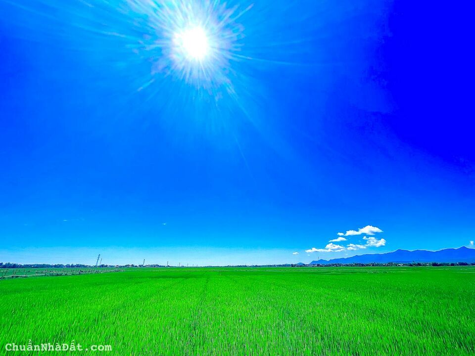 Chính chủ cần bán mảnh vườn hơn 500M2, vuông vắn