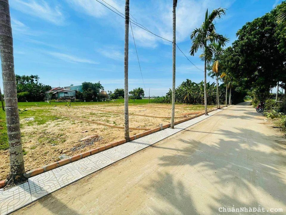 Chủ cắt lỗ bán nhanh lấy tiền trước tết, diện tích lớn