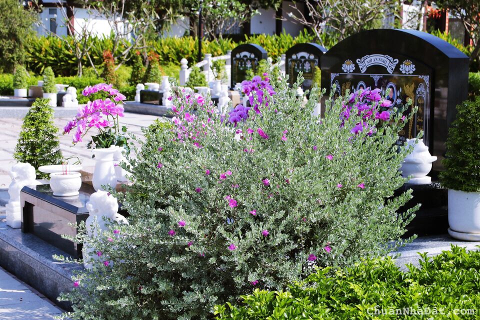 Bán dự án đất nghĩa trang cao cấp trong công viên nghĩa trang Sài Gòn Thiên Phúc Bán dự án đất nghĩa trang cao cấp trong công viên nghĩa trang Sài Gòn Thiên Phúc