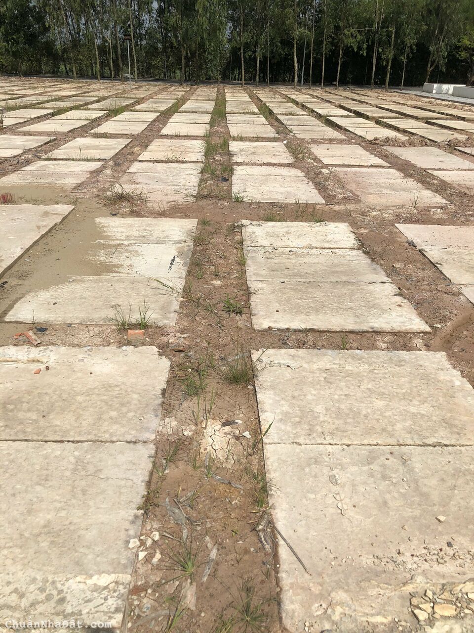 Bán đất huyệt mộ nghĩa trang giá rẻ - Phúc An Viên Long An Bán đất huyệt mộ nghĩa trang giá rẻ - Phúc An Viên Long An