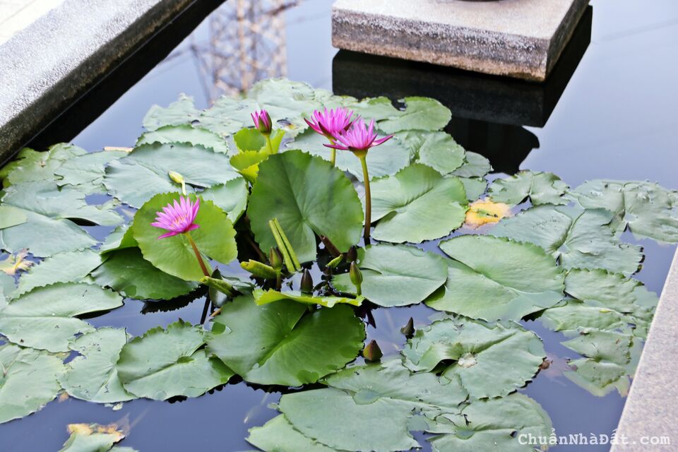 Bán đất huyệt mộ trong công viên nghĩa trang cao cấp tại Long An - Sài Gòn Thiên Phúc Bán đất huyệt mộ trong công viên nghĩa trang cao cấp tại Long An - Sài Gòn Thiên Phúc