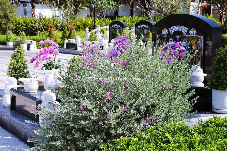 Bán đất huyệt mộ trong công viên nghĩa trang cao cấp tại Long An - Sài Gòn Thiên Phúc Bán đất huyệt mộ trong công viên nghĩa trang cao cấp tại Long An - Sài Gòn Thiên Phúc