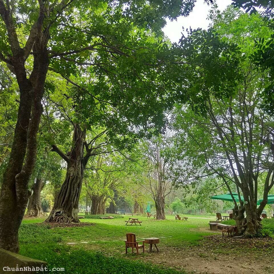 Mở bán căn hộ chung cư cao cấp sở hữu tầm view độc bản tại phía Đông Hà Nội