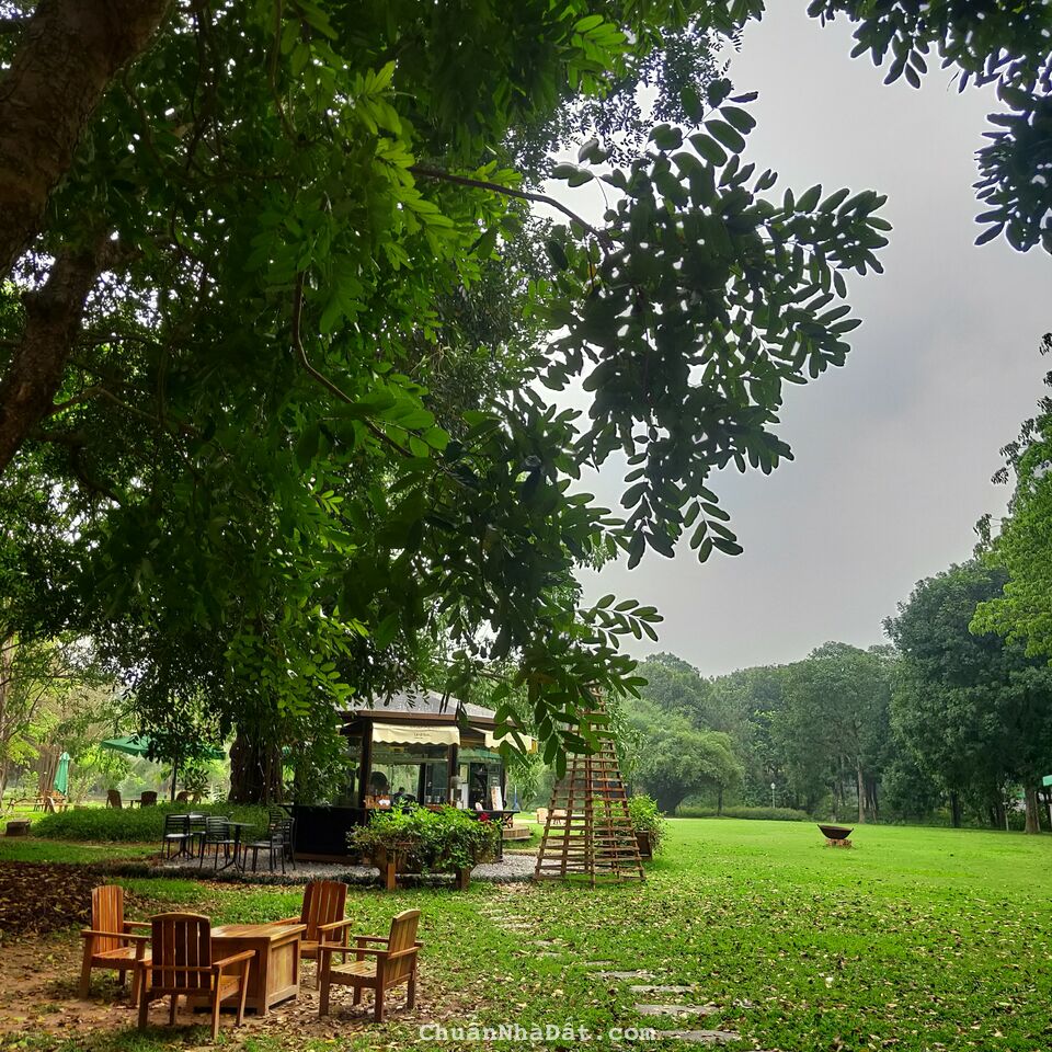 Mở bán căn hộ chung cư cao cấp sở hữu tầm view độc bản tại phía Đông Hà Nội