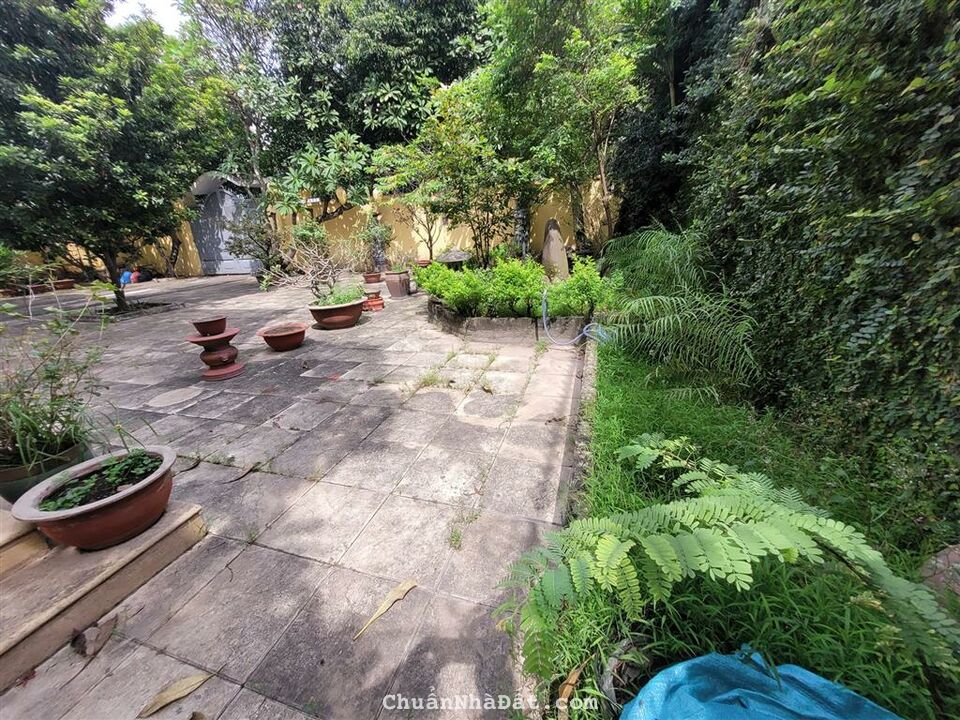 BÁN BIỆT THỰ SÂN VƯỜN, MẶT TIỀN ĐƯỜNG KD SẦM UẤT, GẦN BV THỦ ĐỨC, 870m2, CHỈ 75 TỶ. BÁN BIỆT THỰ SÂN VƯỜN, MẶT TIỀN ĐƯỜNG KD SẦM UẤT, GẦN BV THỦ ĐỨC, 870m2, CHỈ 75 TỶ.