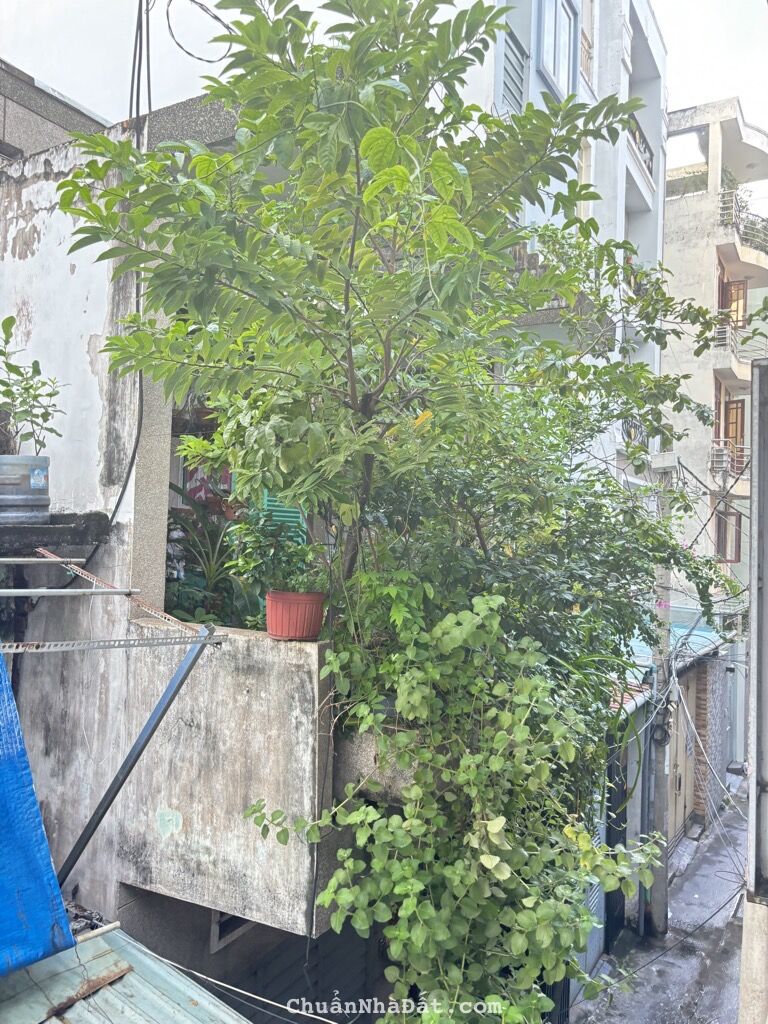 KHU ĐỒNG BỘ NGUYỄN CÔNG HOAN, PHÚ NHUẬN, CÓ KC Ở NGAY. GIẢM 650TR CHỈ 4.5T TL KHU ĐỒNG BỘ NGUYỄN CÔNG HOAN, PHÚ NHUẬN, CÓ KC Ở NGAY. GIẢM 650TR CHỈ 4.5T TL