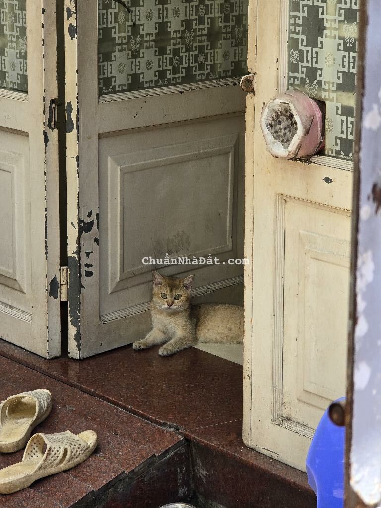 GIÁ RẺ NGAY CẠNH KHU CÔNG NGHIỆP TÂN BÌNH. HẺM 4M HỒ ĐẮC DI, TÂN PHÚ, CHỈ 4T TL TỐT.