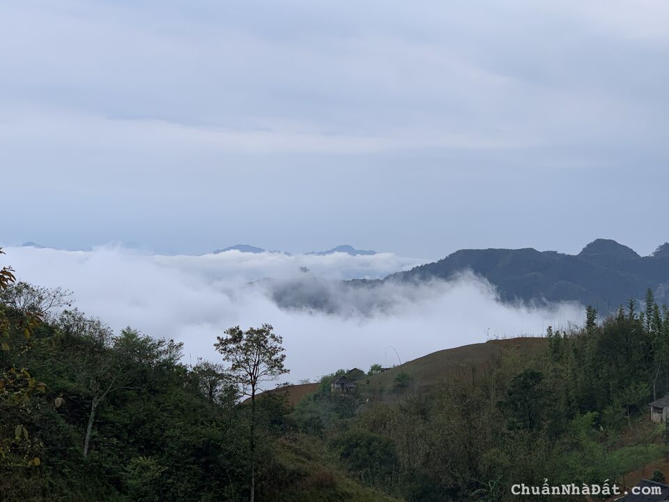 Cần bán 76.000m2 đất homestay Noong Luông, Mai Châu, Hòa Bình, giá rẻ hơn thị trường