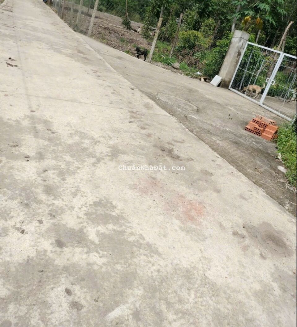 350triệu sổ sẵn