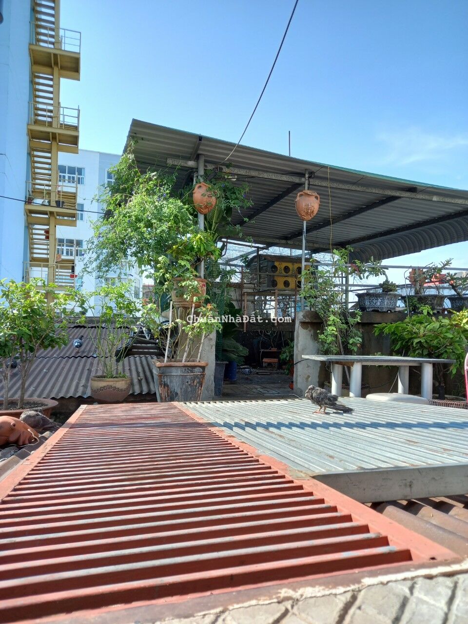 Bán nhà cư xá Tỉnh Đoàn.Trung tâm TP. Biên Hòa, tỉnh Đồng Nai. Liên hệ chủ 0913.690 339 Bán nhà cư xá Tỉnh Đoàn.Trung tâm TP. Biên Hòa, tỉnh Đồng Nai. Liên hệ chủ 0913.690 339