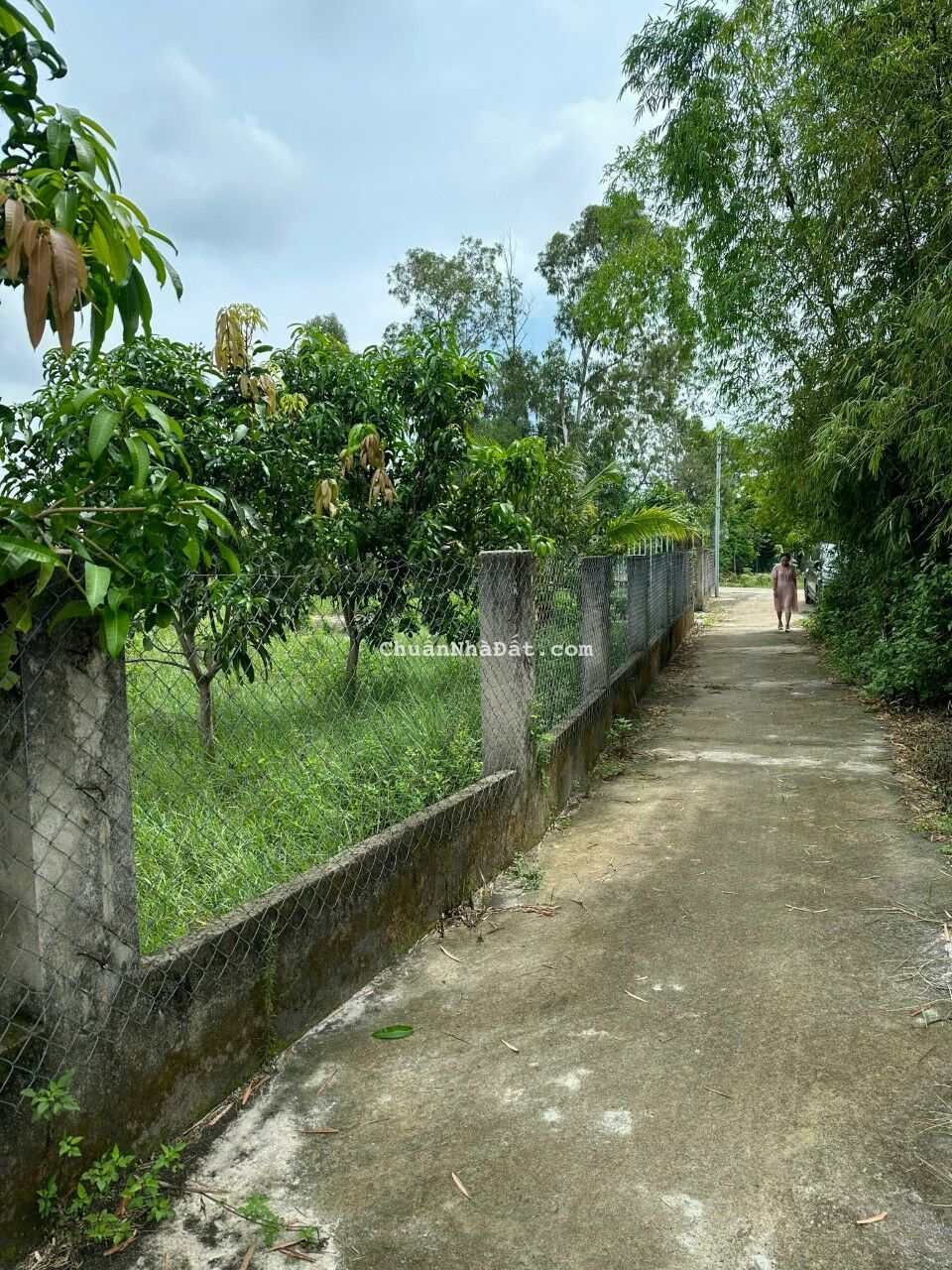 Cần bán lô đất vườn 390m2 thôn phú thượng,xã hoà sơn,huyện hoà vang,đà nẵng,giá bán 1,650 tỷ