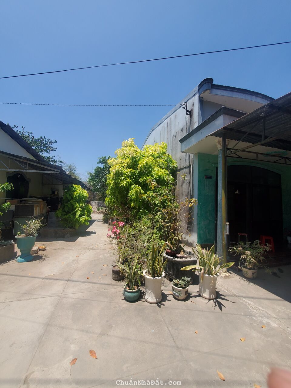 CHÍNH CHỦ GỬI BÁN GẤP ĐẤT VƯỜN TẶNG KÈM NHÀ CẤP 4 NỘI Ô TP TRÀ VINH
CHÍNH CHỦ GỬI BÁN GẤP ĐẤT VƯỜN TẶNG KÈM NHÀ CẤP 4 NỘI Ô TP TRÀ VINH