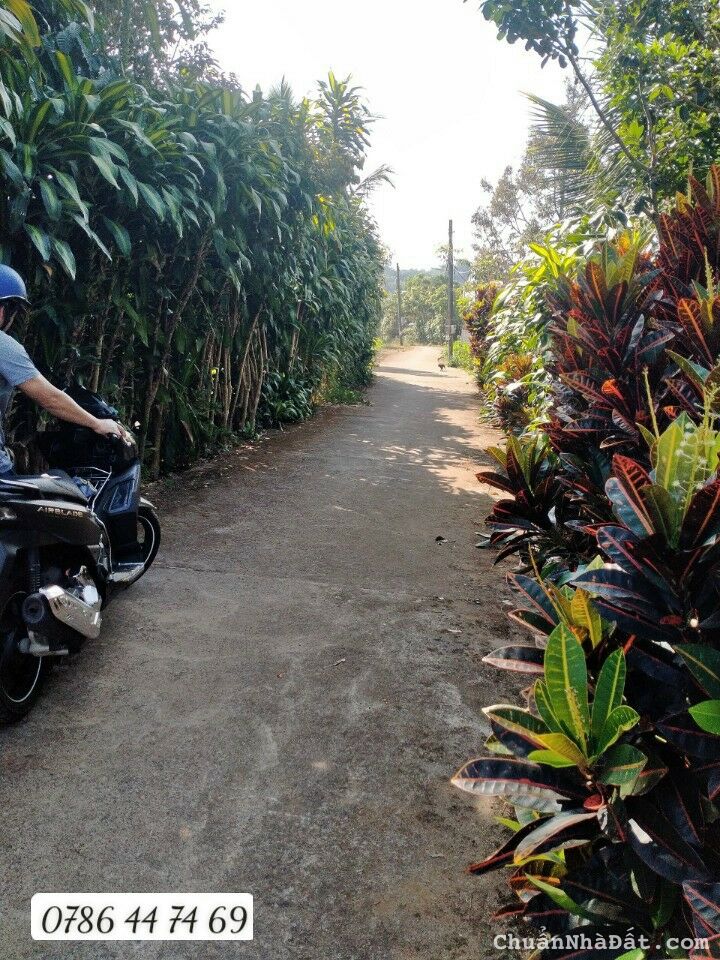 View đẹp trung tâm tp 1900 m2 cần bán