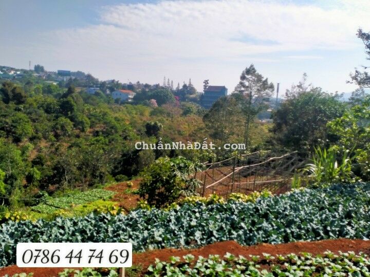 View đẹp trung tâm tp 1900 m2 cần bán