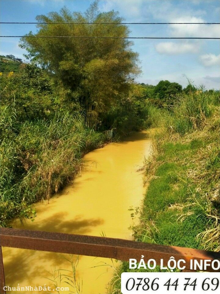 Đất Viêw Sông 1800 m2 .cần bán tại Bảo lộc