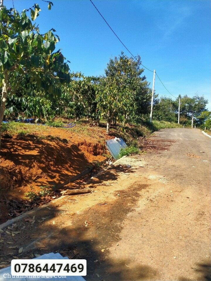 View Đẹp .trung tâm tp cần bán View Đẹp .trung tâm tp cần bán