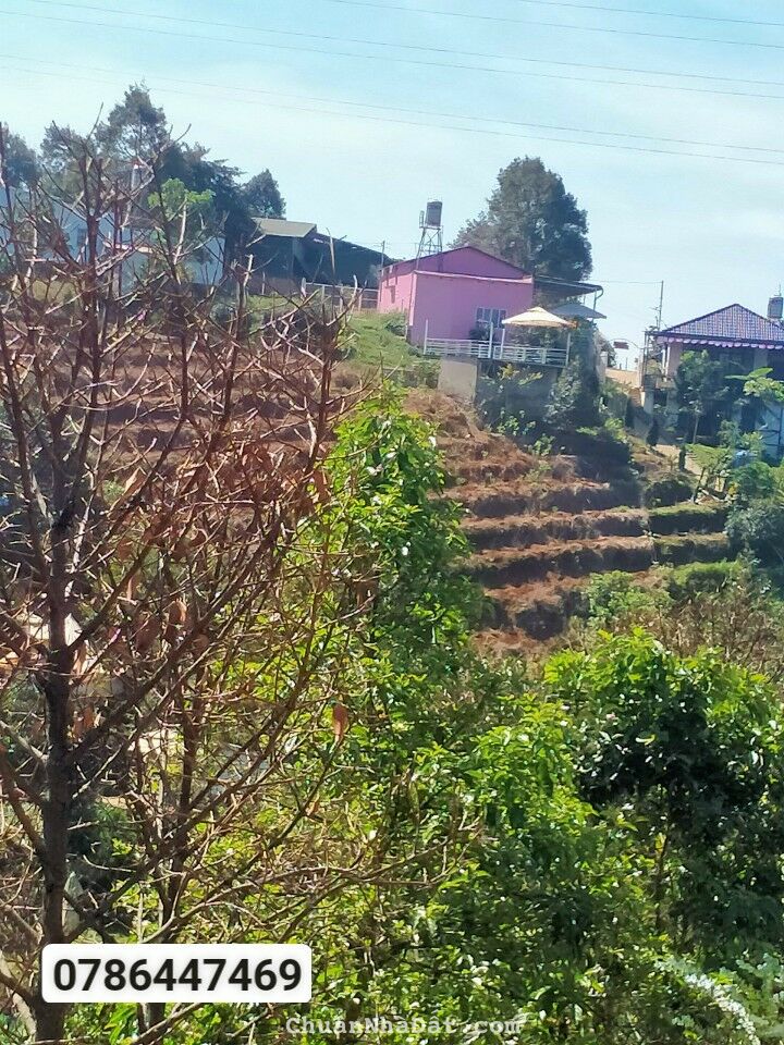 View Đẹp .trung tâm tp cần bán View Đẹp .trung tâm tp cần bán