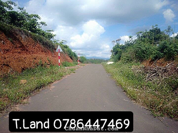 3,2 sào Đất giá rẻ tại Bảo Lộc