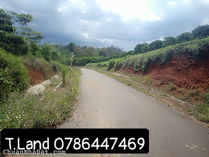 3,2 sào Đất giá rẻ tại Bảo Lộc