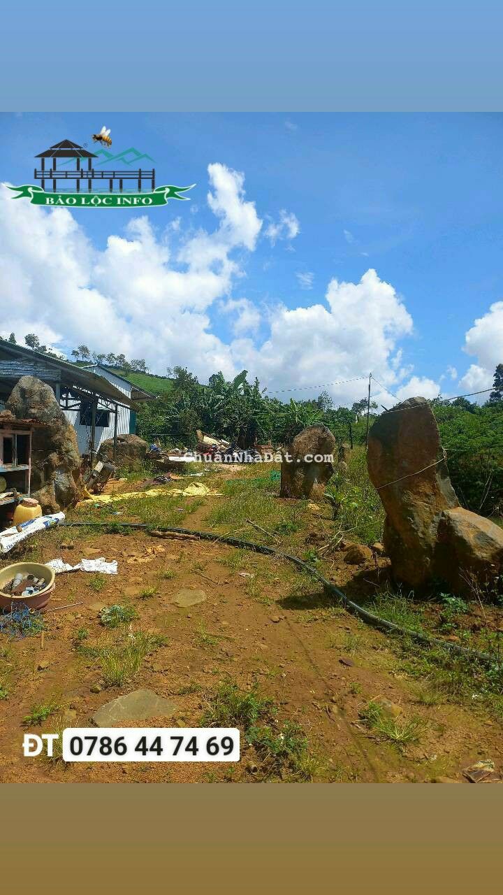 2,5 hecta đất vườn cần bán