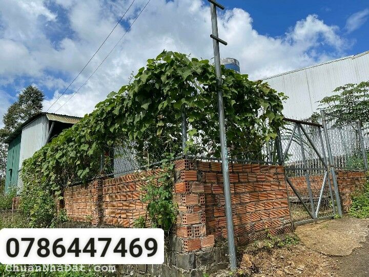 nền đẹp trung tâm  Bảo Lộc .cần bán