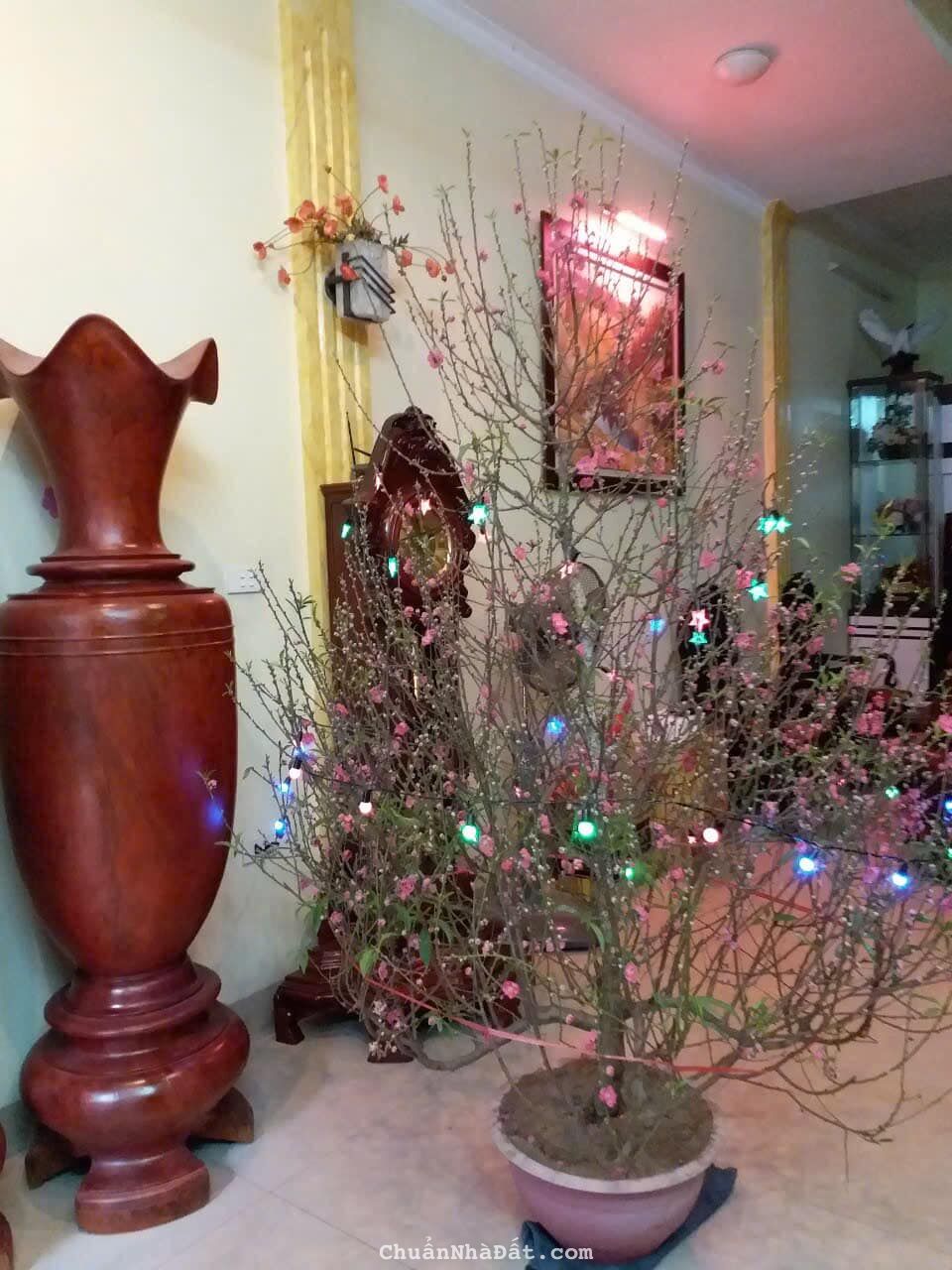 Cho thuê nhà Phân Lô, ô tô Nguyễn Hữu Thọ, Đại Kim Hoàng Mai 40m x 4T giá 14tr Cho thuê nhà Phân Lô, ô tô Nguyễn Hữu Thọ, Đại Kim Hoàng Mai 40m x 4T giá 14tr