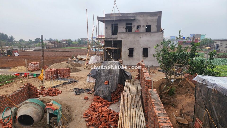 Bán cắt lỗ đất biển đối diện bãi tắm Quất Lâm Bán cắt lỗ đất biển đối diện bãi tắm Quất Lâm