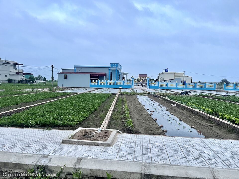 Bán cắt lỗ đất biển đối diện bãi tắm Quất Lâm 