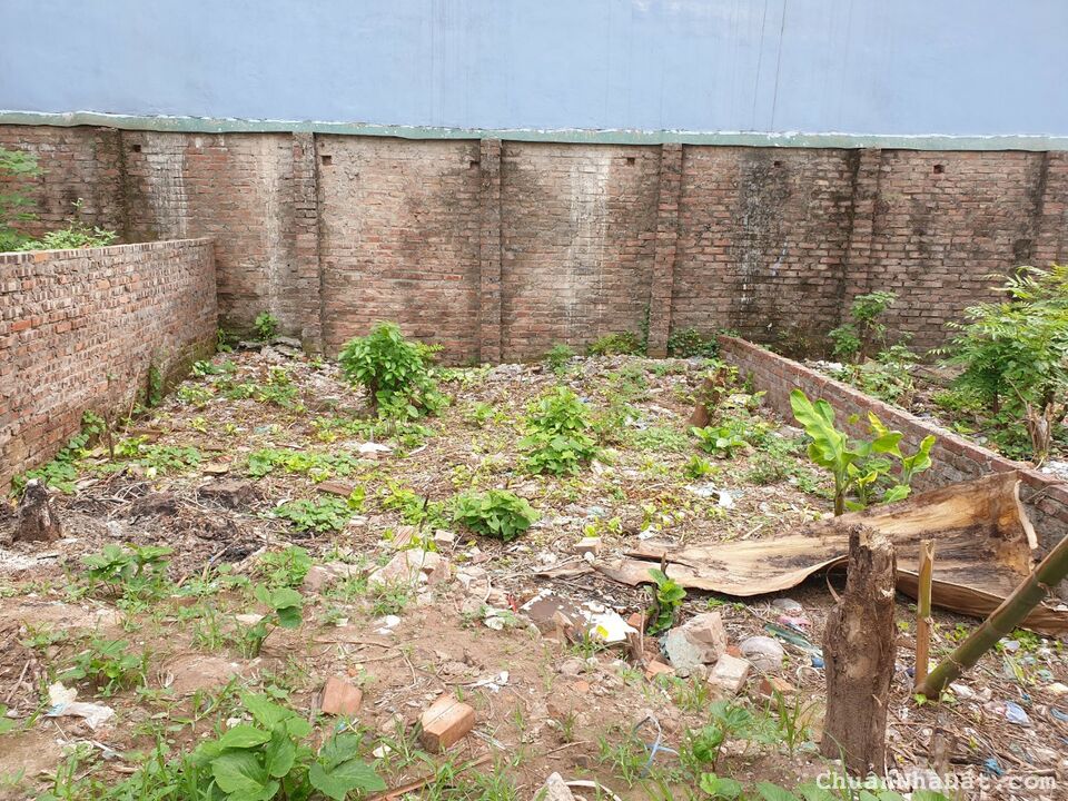 Bán Gấp 62m2 Đất Phố Thuỵ Phương_Bắc Từ Liêm_PHÂN LÔ ÔTÔ, Giá Nhỉnh 5 tỷ