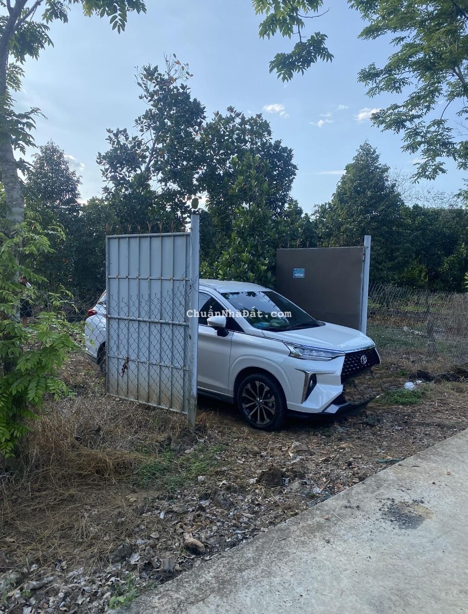 Chính Chủ bán 5,5 sào đất Sầu Riêng và Mít đang cho thu hoạch 