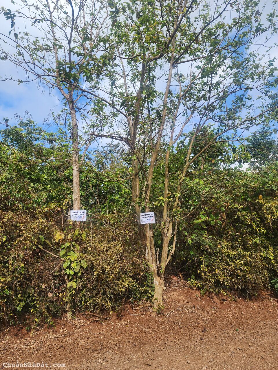 sản phẩm giá rẻ sản phẩm giá rẻ