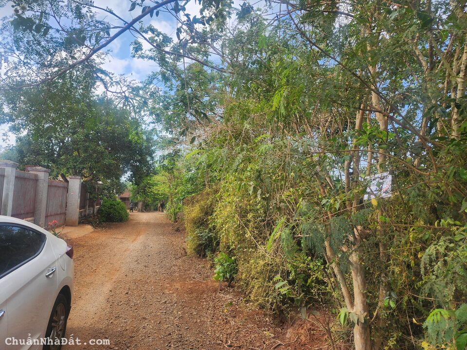 sản phẩm giá rẻ sản phẩm giá rẻ