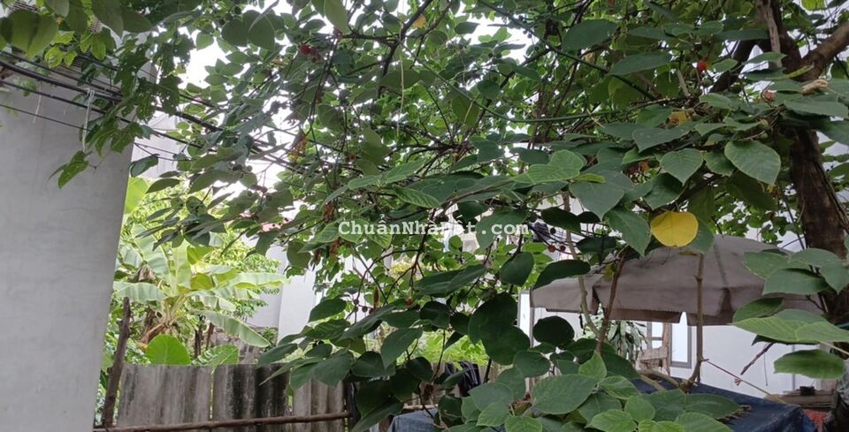 Bán Đất Tứ Hiệp, Thanh Trì gần phố - gần KĐT Hồng Hà 56m2, mặt tiền 4m, 4.9 tỷ. Bán Đất Tứ Hiệp, Thanh Trì gần phố - gần KĐT Hồng Hà 56m2, mặt tiền 4m, 4.9 tỷ.