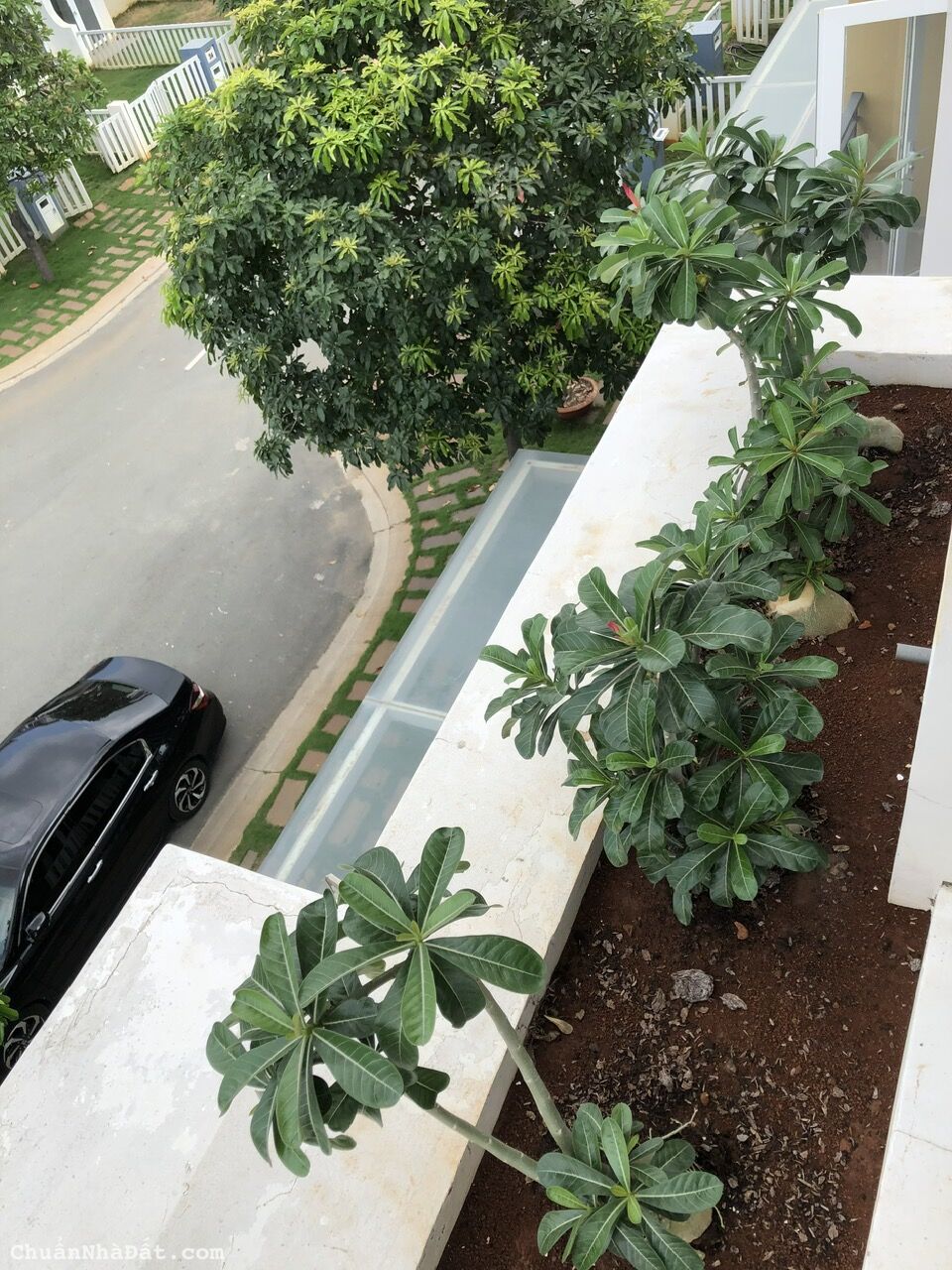 Bán căn Sân Vườn 7x21 Rosita Garden Khang Điền Quận 9 Chỉ 8tỷ450 4PN3WC Cực Đẹp