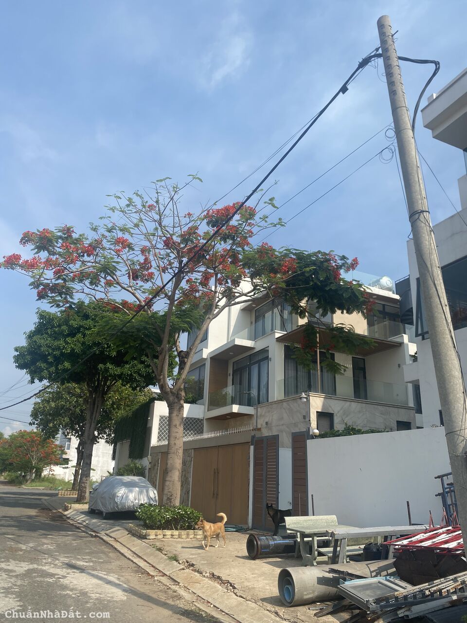 Kế KDC Khang An 300m2 Liên Phường Chỉ (Đất biệt thự Rẻ Nhất Phú Hữu Quận 9) Kế KDC Khang An 300m2 Liên Phường Chỉ (Đất biệt thự Rẻ Nhất Phú Hữu Quận 9)