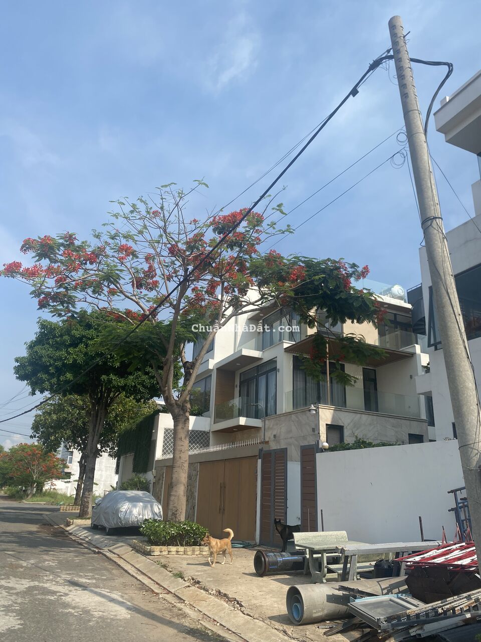 Đất biệt thự Liên Phường 300m2 chỉ 35tr/m2 (Rẻ hơn 50% thị trường) Gần The Global City Đất biệt thự Liên Phường 300m2 chỉ 35tr/m2 (Rẻ hơn 50% thị trường) Gần The Global City