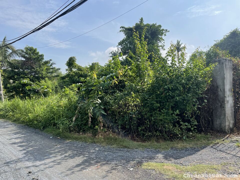 (Giá giảm 40%) 2.000m2 Đất vườn Long Phước Quận 9 chỉ 12tỷ500 Siêu Rẻ (Giá giảm 40%) 2.000m2 Đất vườn Long Phước Quận 9 chỉ 12tỷ500 Siêu Rẻ